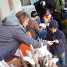 BK_Funken Fellengatter_2014 3.jpg