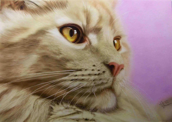 859185_529521273735659_1536337650_o _1_.jpg