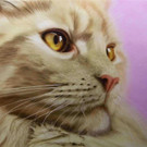 859185_529521273735659_1536337650_o _1_.jpg