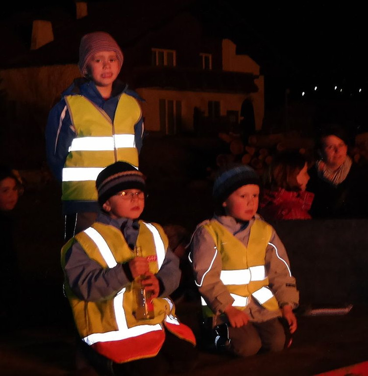 8_3_2014 Funken Lingenau abrennen 21.jpg