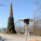Brugger Hexe 2014 64.jpg