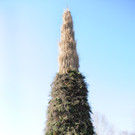 Brugger Hexe 2014 116.jpg