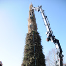 Brugger Hexe 2014 126.jpg