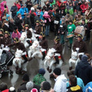 P1030186.jpg
