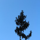 IMG_1459.JPG