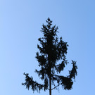 IMG_1480.JPG