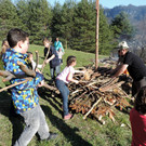 DSCN4431.JPG