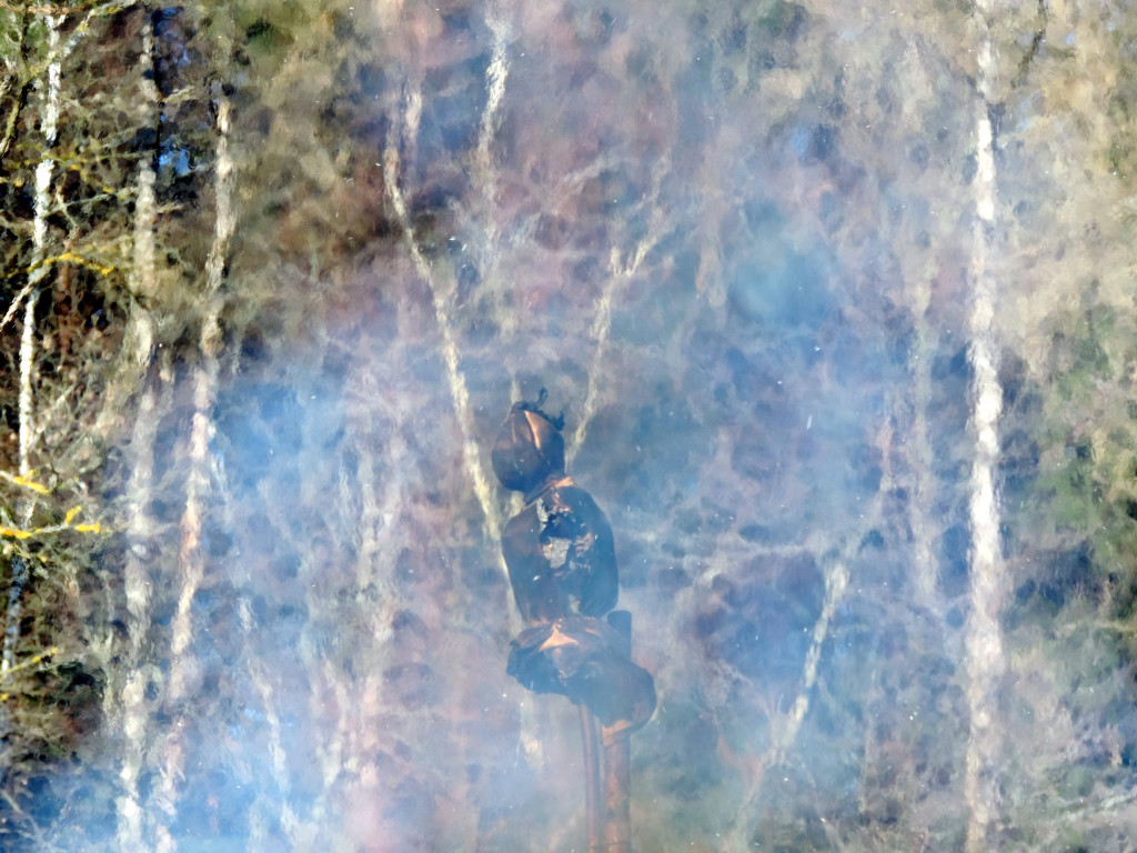 DSCN4455.JPG