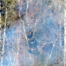 DSCN4455.JPG