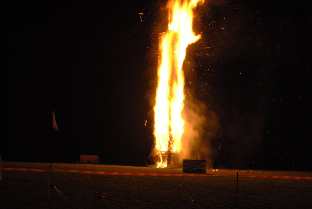 DSC_4602.JPG