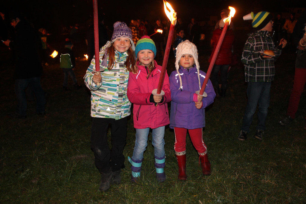 Funken Ludesch 2014 018.JPG
