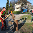 IMG_1600.JPG
