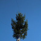 IMG_1619.JPG