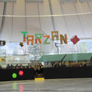Show on Ice