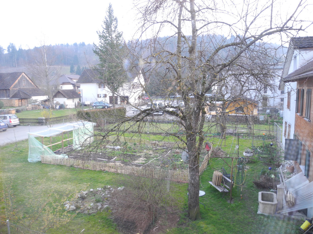 DSCN0731.JPG