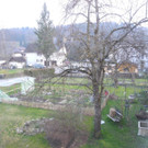 DSCN0731.JPG