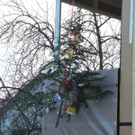 DSCN0746.JPG