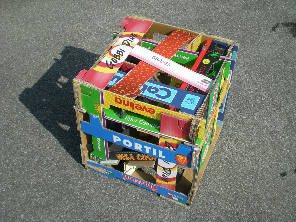 Seitenteilw__rfel 2009.JPG