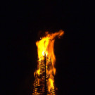 IMG_7950.jpg