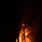 DSC_5056.JPG