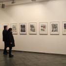 DSCN0769.JPG