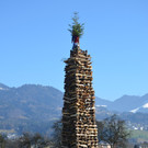DSC_5015.JPG