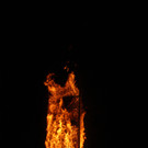 DSC04745.jpg