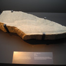 DSCN0695.JPG