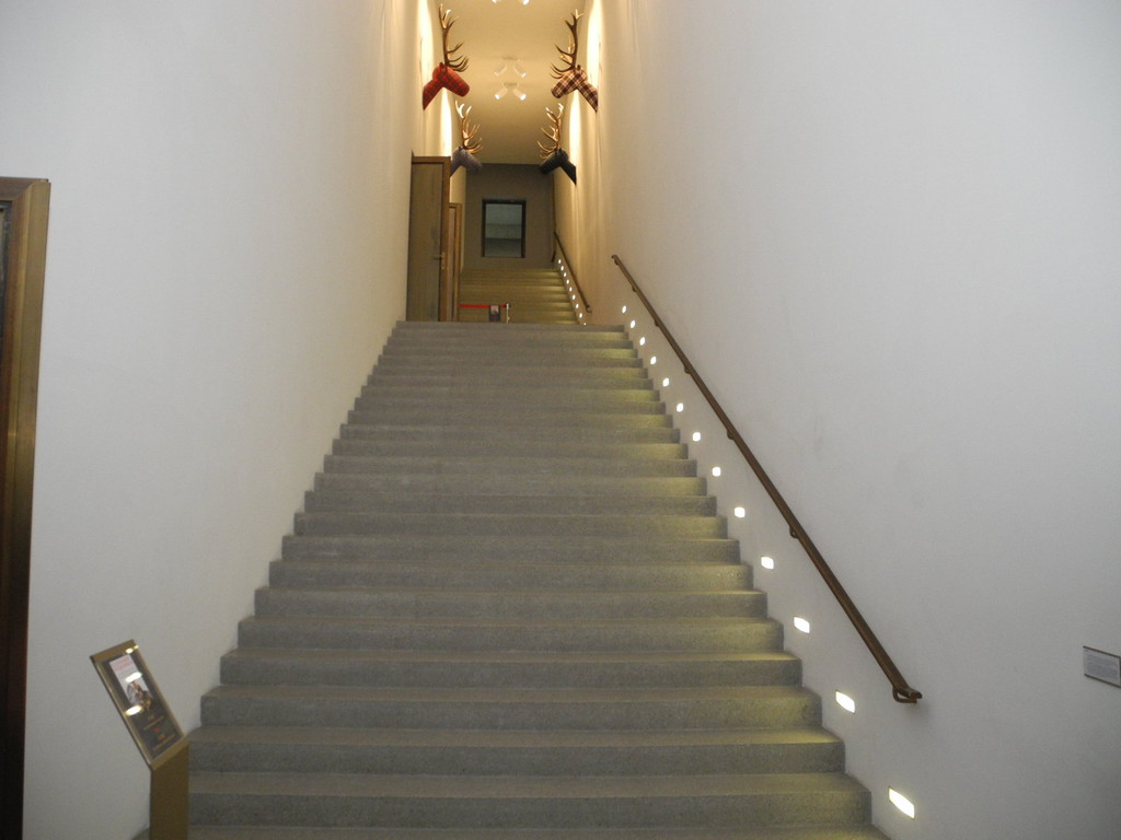 DSCN0665.JPG