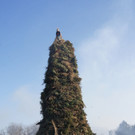 DSC07686.JPG