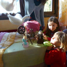 P1010266.jpg