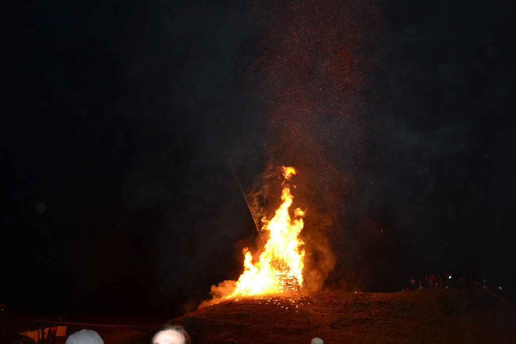 DSC_0693.JPG