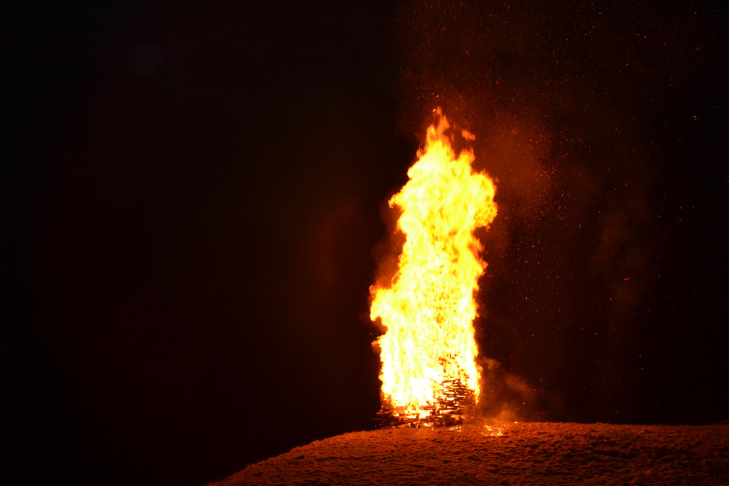 DSC_0676.JPG