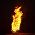 DSC_0674.JPG