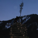 IMG_2443.JPG