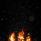 IMG_2463.JPG