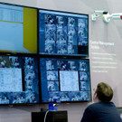 IBD0500-20140309.jpg