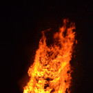 DSC_0667.JPG