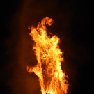 DSC_0179.JPG
