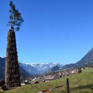DSC_4908.jpg