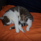 100_3699.JPG