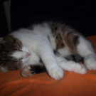100_3700.JPG