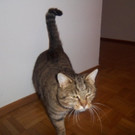 100_3695.JPG