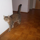 100_3698.JPG