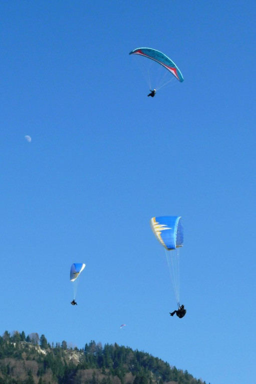 P1100865.JPG