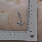 Tattoo OAre.jpg
