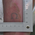 Tattoo UAli.jpg