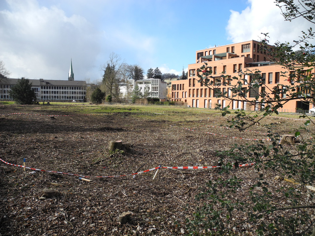 Bild 2.JPG