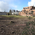 Bild 2.JPG