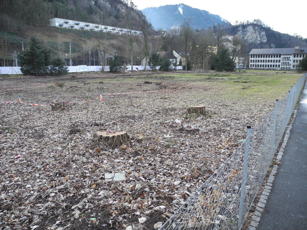 DSCN0125.JPG